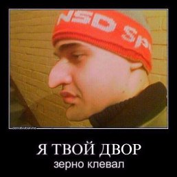����, ���������