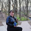 ���� �������, ��������, 44 ���� - ��������� 3 ������ 2017 � ������ ���� ����������