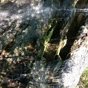 ���� Shalva, �������, 56 ��� - ��������� 9 ������� 2016 � ������ ���� ����������