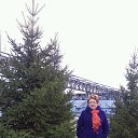 ���� ����, ��������, 54 ���� - ��������� 16 ������� 2016 � ������ ���� ����������