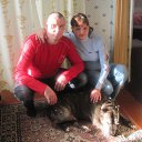 ���� ���������, �������, 43 ���� - ��������� 1 ����� 2017 � ������ ���� ����������