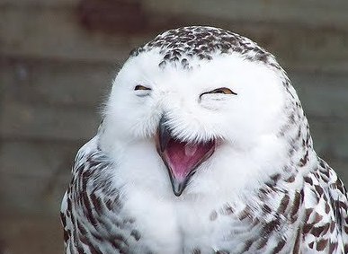 ))).       !