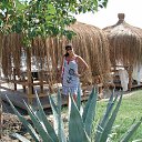 #�����, #������ ������ 2012� �� ������� ���� ����������