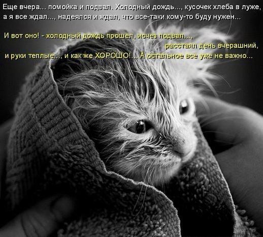 О, сколько их - бездомных, жалких, На свет родившихся слепых, Заботы никогда не знавших, А много ль ... - 5