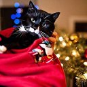 ���� �����, ������, 37 ��� - ��������� 30 ������� 2016 � ������ ���� ����������