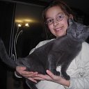 ���� ���������, ������, 49 ��� - ��������� 17 ������� 2017 � ������ ���� ����������