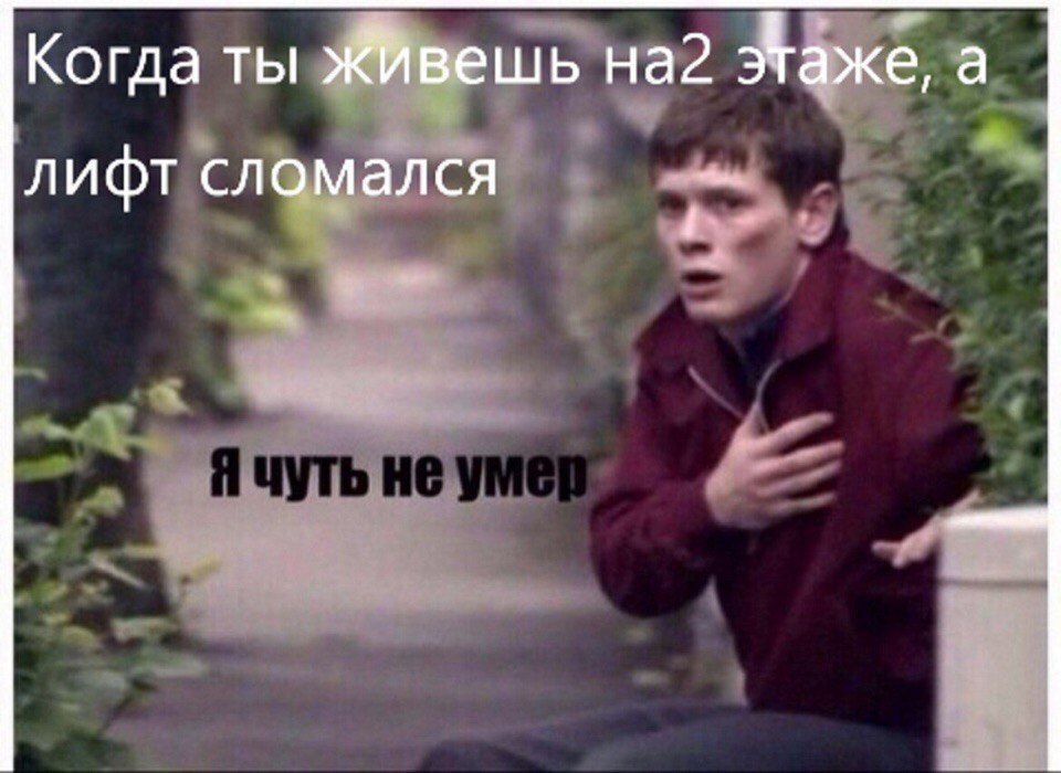  - 6  2017  10:31
