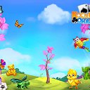 ���� �����, ������, 53 ���� - ��������� 5 ����� 2017 � ������ �������� �������-�������