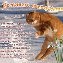 ���� �������, �����-��������� - ��������� 5 ����� 2017 � ������ ������ ��������