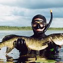 ���� Vjacek, ����������, 62 ���� - ��������� 9 ������� 2017 � ������ ���� ����������