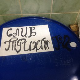 ���� ����������, �����-���������, 33 ���� - ��������� 21 ������ 2017