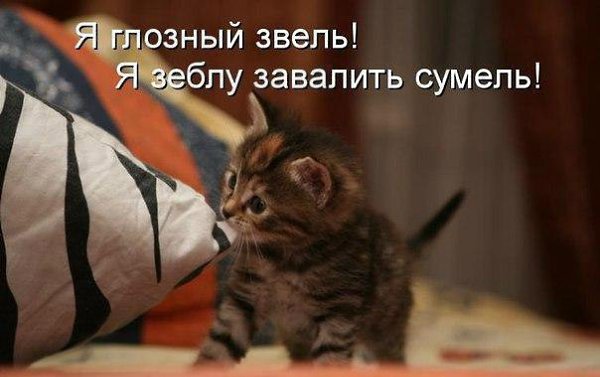    :D - 14  2016  02:01