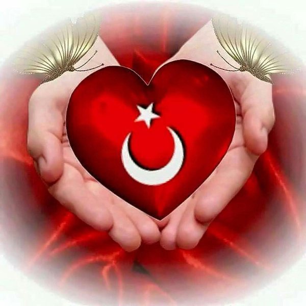  ....... - 3  2017  14:50