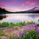 ���� Aleksandr, ������, 62 ���� - ��������� 3 ������� 2017 � ������ ���� ����������