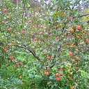 ���� Alexander, �����-���������, 58 ��� - ��������� 19 �������� 2016 � ������ ���� ����������