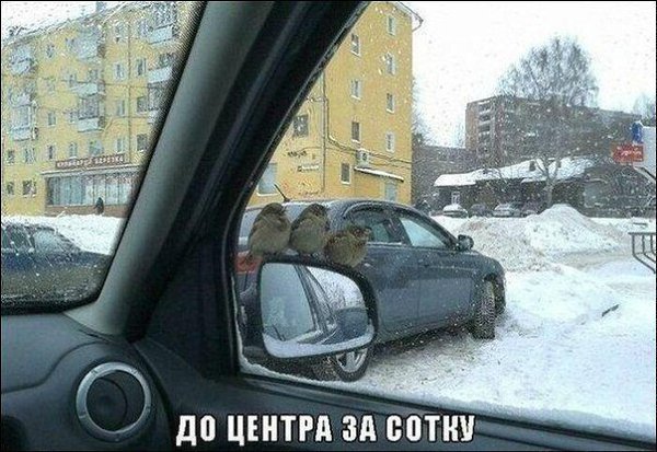 ����, -������� � ����... - 16 ������� 2017 � 18:01