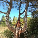 ���� ������, �������, 65 ��� - ��������� 25 ����� 2017