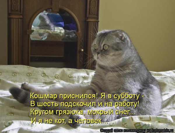  - 20  2016  05:19