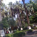 ���� �������, ��������� - ��������� 8 ������ 2017 � ������ ���� ����������