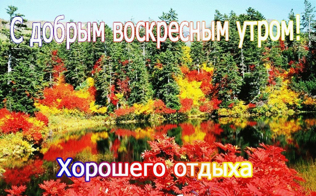 �������� - 23 ������� 2016 � 09:49