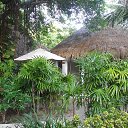    -  ,  -  6  2016    2014.  11.  lawana ( )