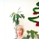 ���� ������, ��������, 51 ��� - ��������� 20 ������� 2016 � ������ ������ ��������