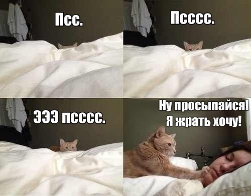   - 7  2016  07:05