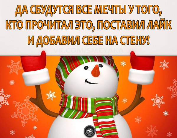    :D - 8  2016  19:04