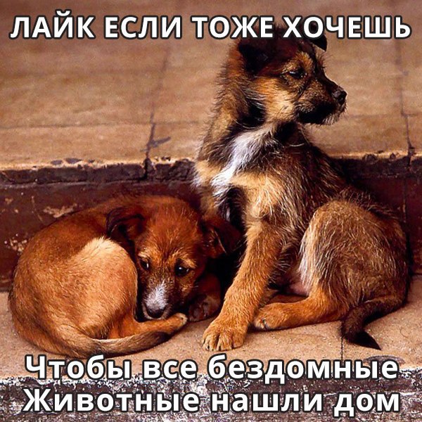 Just love. - 18  2016  09:24