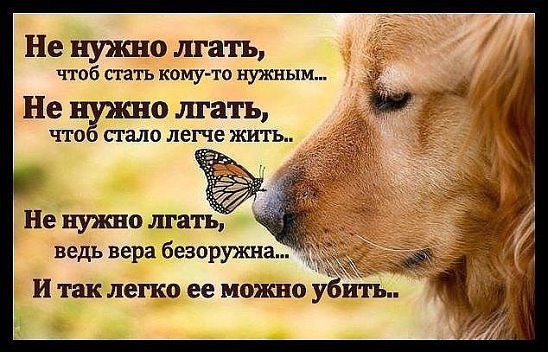 А теперь то, что реально у меня на Душе. И думаю, не у меня одной. - 11