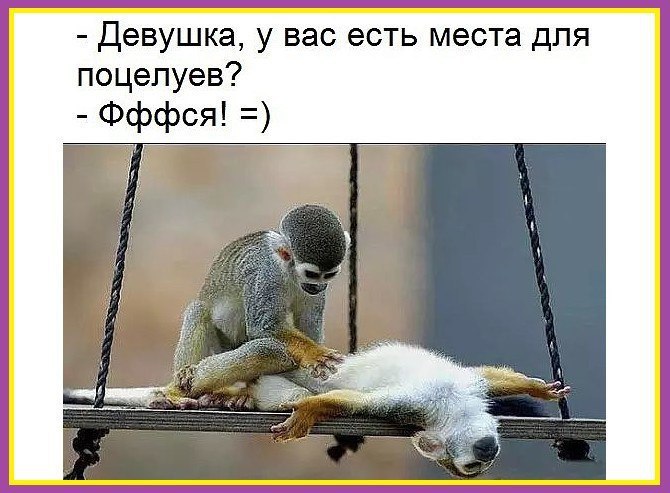  - 5  2017  16:40