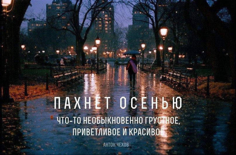     - 19  2016  11:00