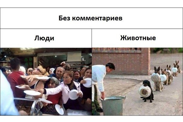     - 8  2017  05:04