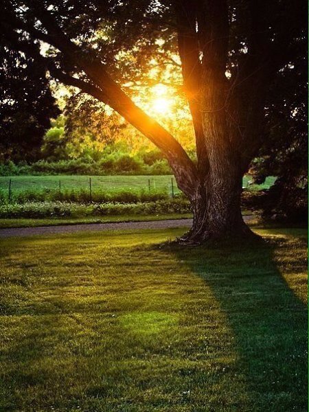 Оглянись вокруг, там столько всего, за что можно быть благодарным. #осень #благодарность #счастье ... - 6