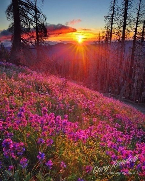  ,   .  .  ,  .  , , ... - 3