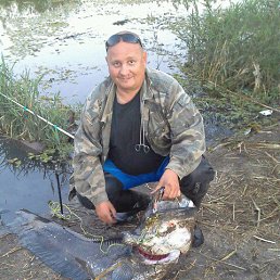 ���� �����, ��������, 52 ���� - ��������� 23 ������ 2017