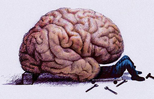 Прокрастинация с научной точки зрения. Как вы думаете, если бы ученые могли проанализировать ваш ...