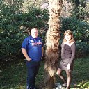 ���� �������, ������������, 42 ���� - ��������� 1 ������� 2016 � ������ ���� ����������