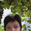 ���� �������, ����������� - ��������� 16 �������� 2016 � ������ ���� ����������