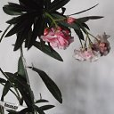 ���� ���������, �����-���������, 64 ���� - ��������� 29 �������� 2016 � ������ ���� �������� ����� !�