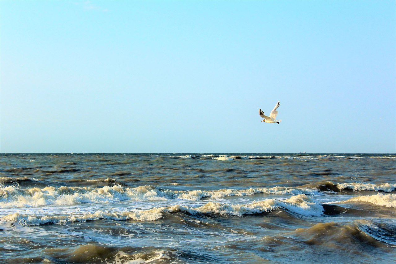 Вода в азовском море в июле