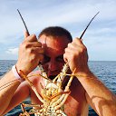 ���� ������, �����-���������, 52 ���� - ��������� 23 ������ 2017 � ������ ���� ����������