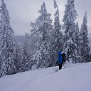 ���� ����, ������������, 31 ��� - ��������� 21 ������� 2017 � ������ ���� ����������