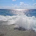  , , 60  -  25  2016    &quot; &quot; 2016