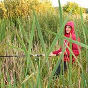 ���� ����, ���������, 33 ���� - ��������� 8 ����� 2017