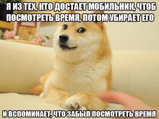? ,  ! - 24  2016  15:55