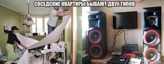 ,  ,  , .          ... - 22