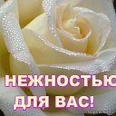 ���� ������, ���������, 76 ��� - ��������� 30 ����� 2017 � ������ ���� ����������