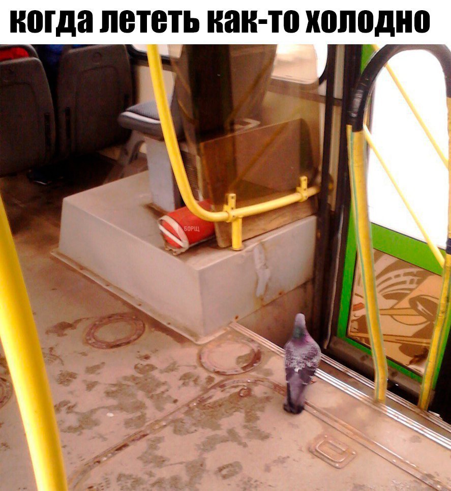   - 6  2016  08:19