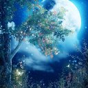  ,  , 23  -  12  2017    